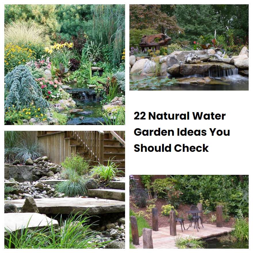 22 Natural Water Garden Ideas You Should Check | SharonSable