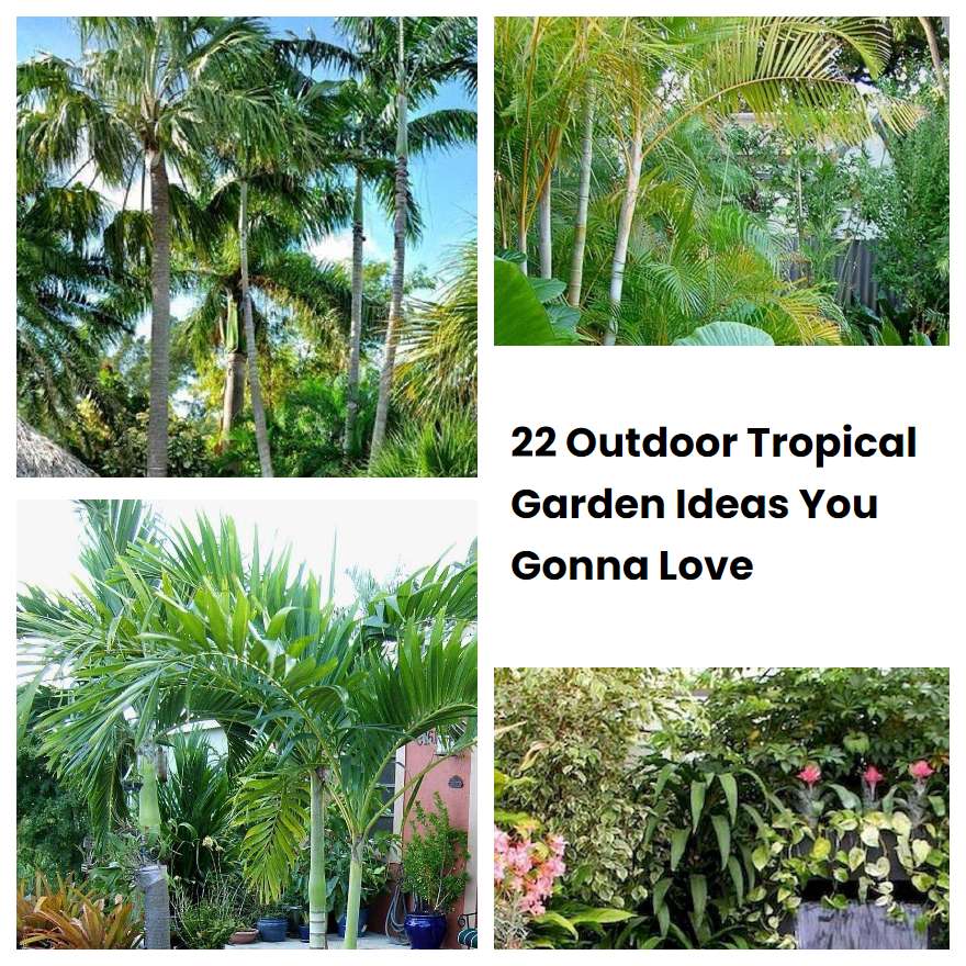 22 Outdoor Tropical Garden Ideas You Gonna Love | SharonSable