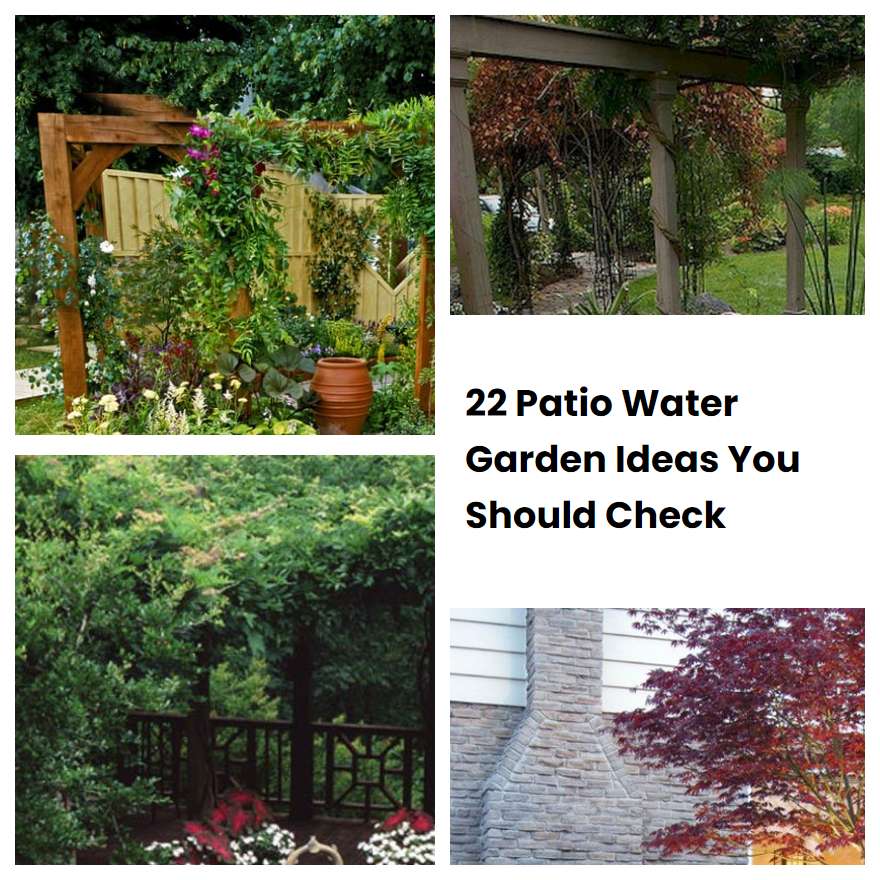 22 Patio Water Garden Ideas You Should Check