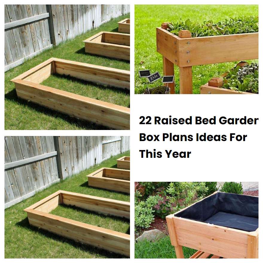 22 Raised Bed Garden Box Plans Ideas For This Year | SharonSable