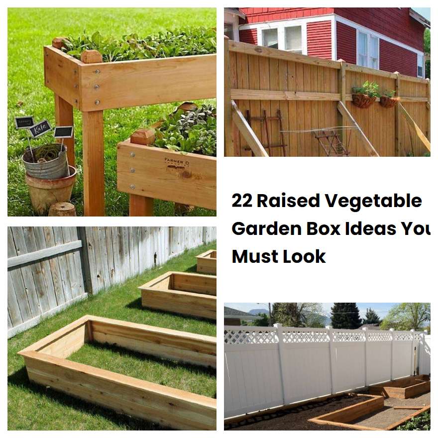 22 Raised Vegetable Garden Box Ideas You Must Look