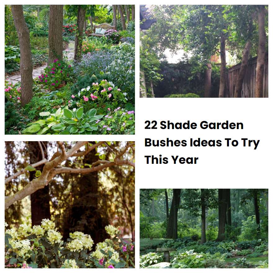 22 Shade Garden Bushes Ideas To Try This Year | SharonSable