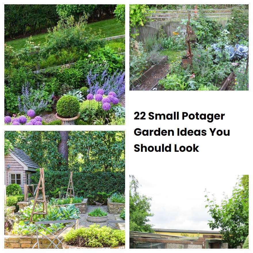 22 Small Potager Garden Ideas You Should Look | SharonSable