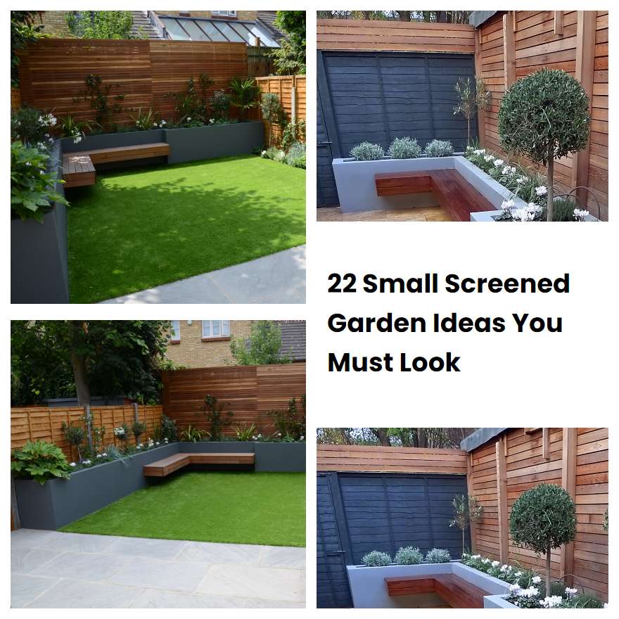 22 Small Screened Garden Ideas You Must Look | SharonSable