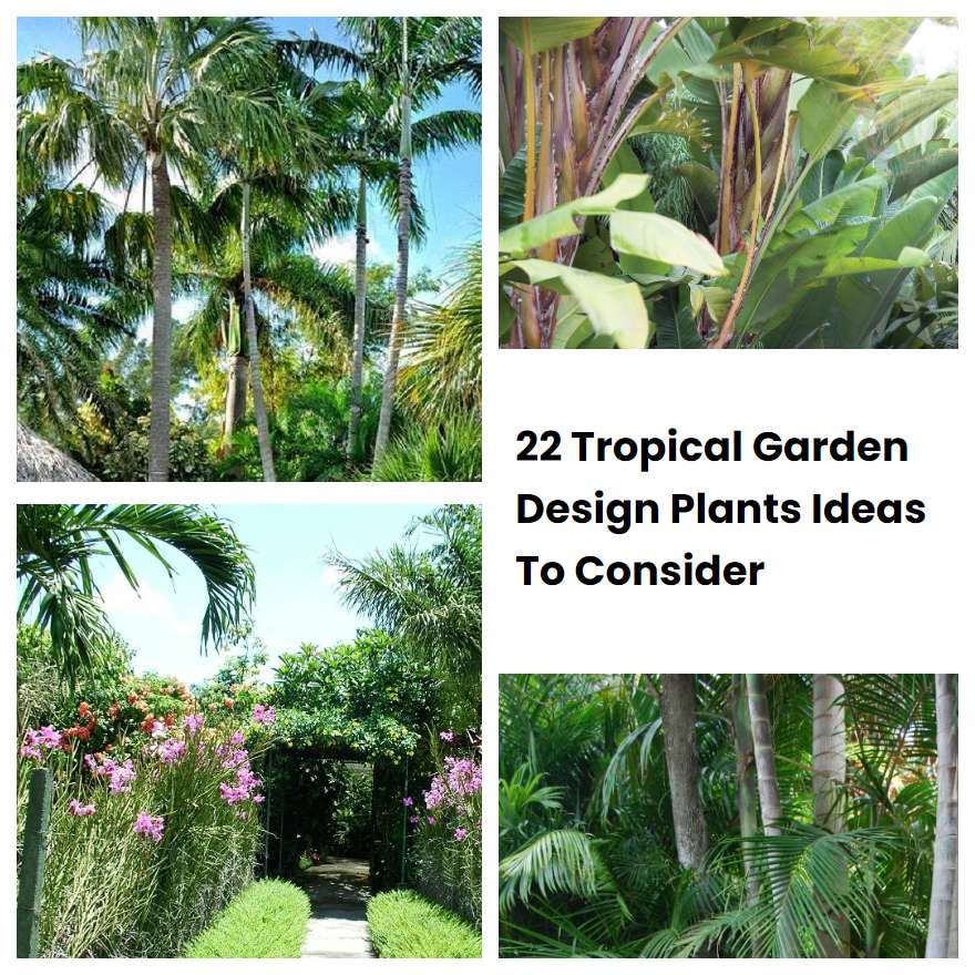 22 Tropical Garden Design Plants Ideas To Consider | SharonSable