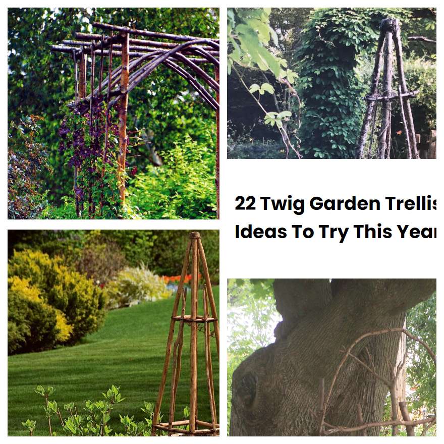 22 Twig Garden Trellis Ideas To Try This Year