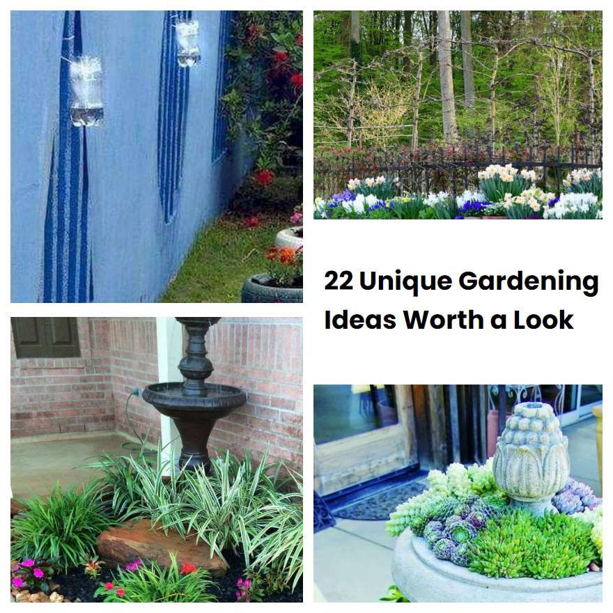 22 Unique Gardening Ideas Worth A Look Sharonsable 6757