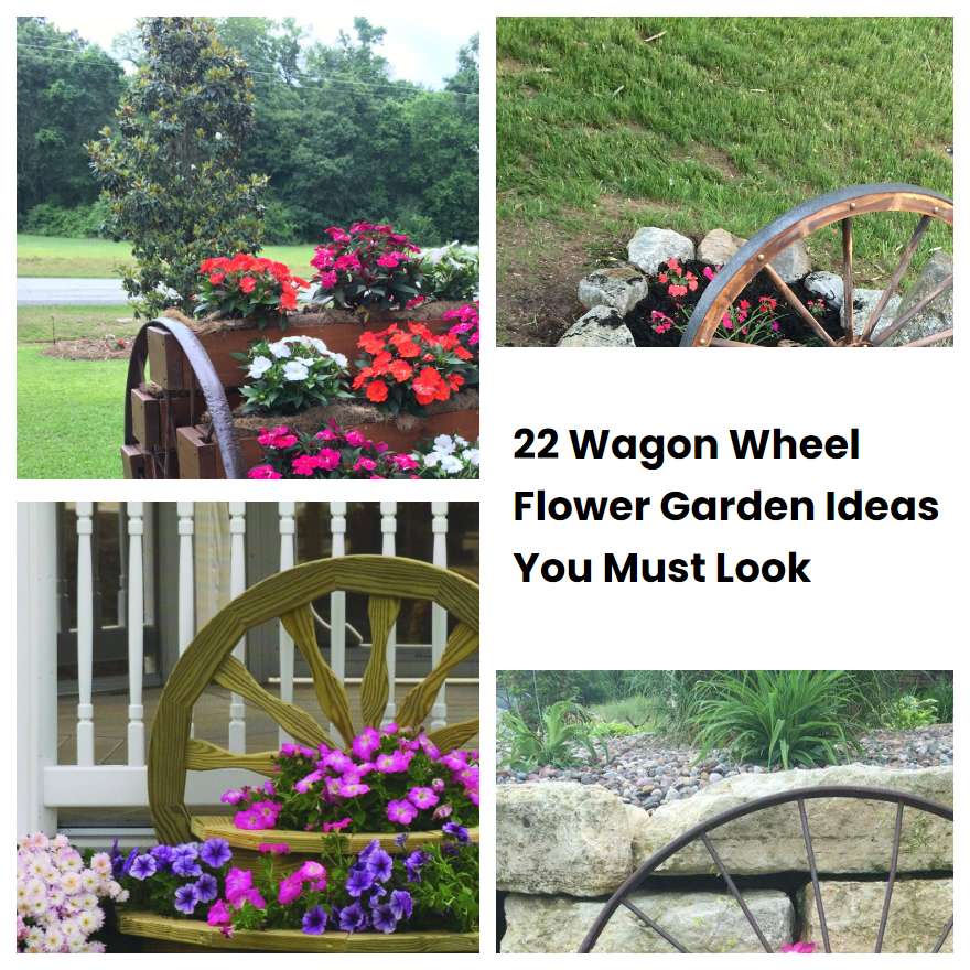 22 Wagon Wheel Flower Garden Ideas You Must Look | SharonSable