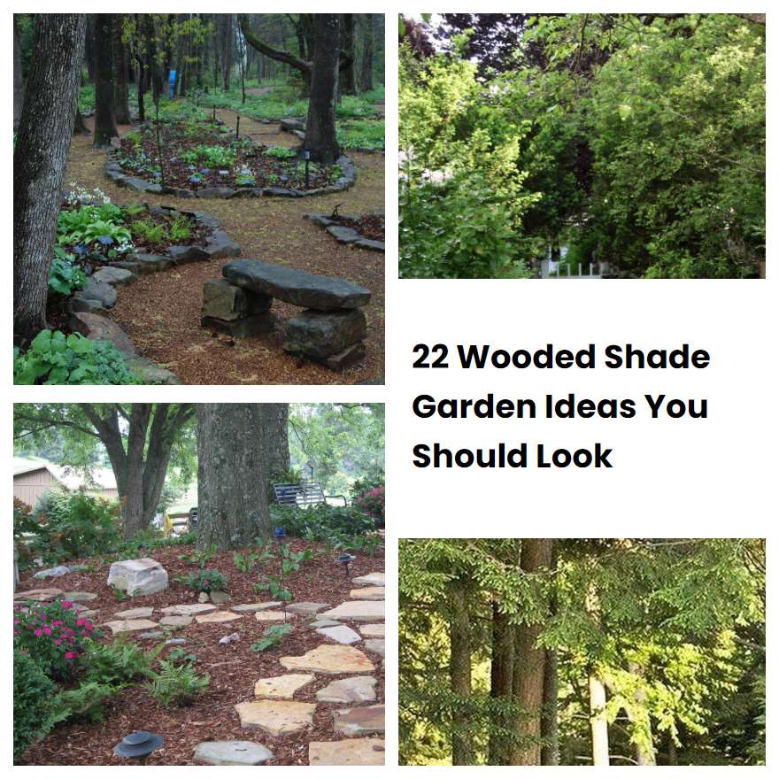 22 Wooded Shade Garden Ideas You Should Look | SharonSable