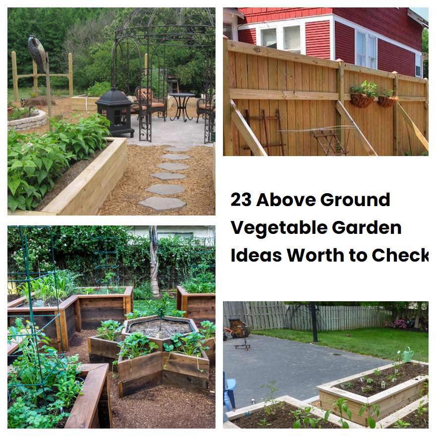 23 Above Ground Vegetable Garden Ideas Worth to Check | SharonSable