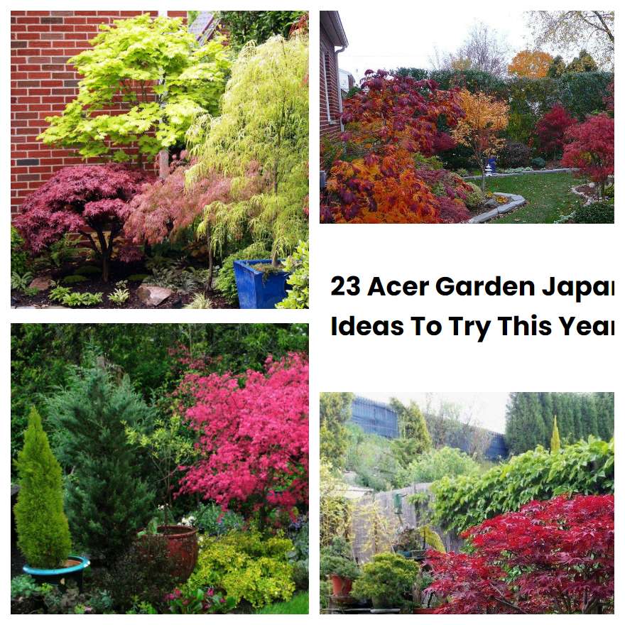 23 Acer Garden Japan Ideas To Try This Year | SharonSable