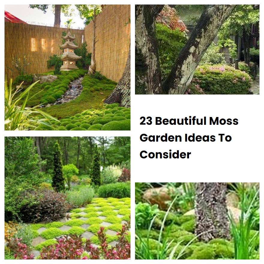 23 Beautiful Moss Garden Ideas To Consider | SharonSable