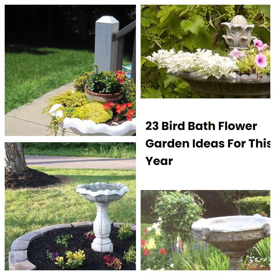 23 Low Maintenance Backyard Garden Ideas You Cannot Miss Sharonsable