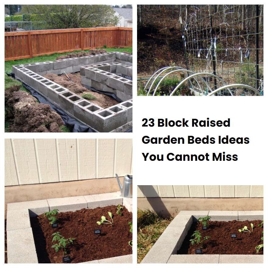 23 Block Raised Garden Beds Ideas You Cannot Miss 