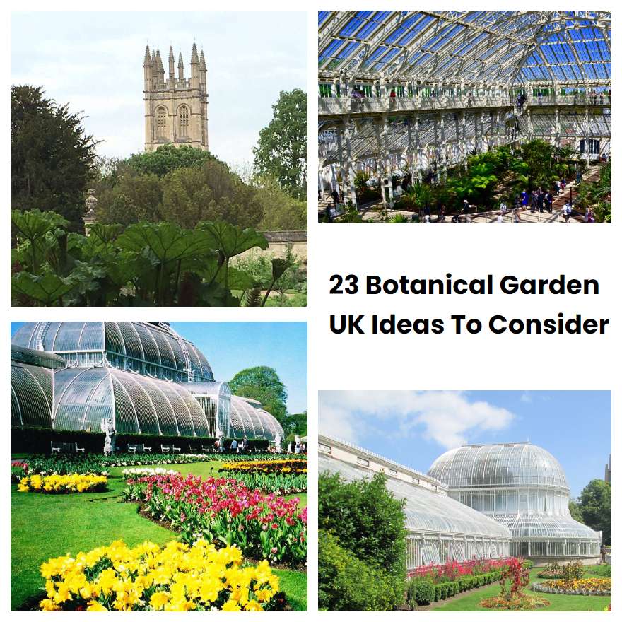 23 Botanical Garden UK Ideas To Consider | SharonSable