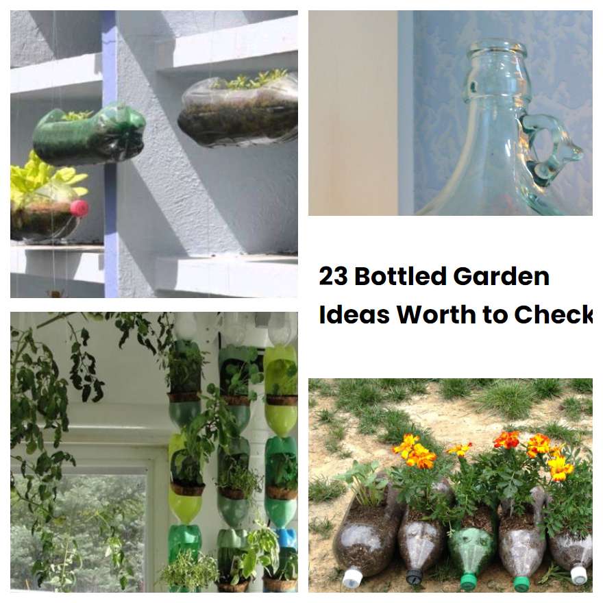 23 Bottled Garden Ideas Worth to Check