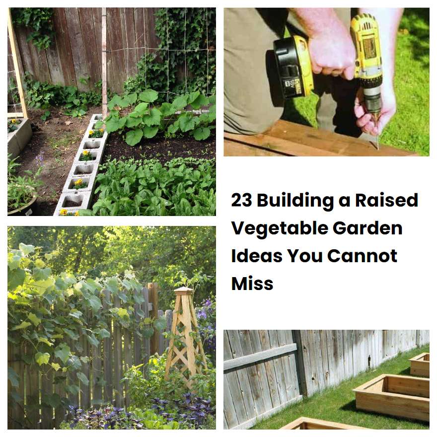 23 Building a Raised Vegetable Garden Ideas You Cannot Miss | SharonSable