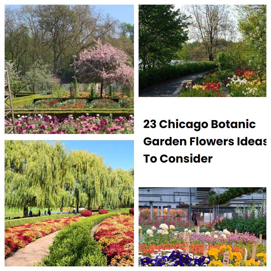 23 Chicago Botanic Garden Flowers Ideas To Consider | SharonSable