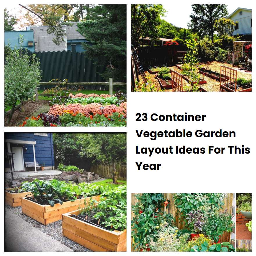 23 Container Vegetable Garden Layout Ideas For This Year | SharonSable