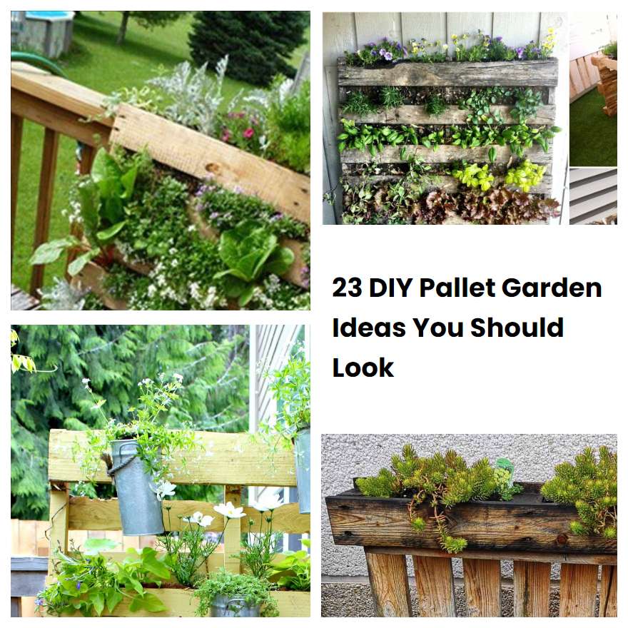 23-diy-pallet-garden-ideas-you-should-look-sharonsable