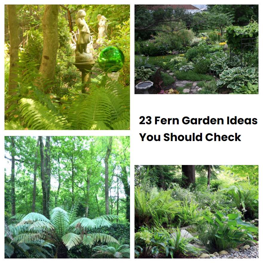 23 Fern Garden Ideas You Should Check | SharonSable