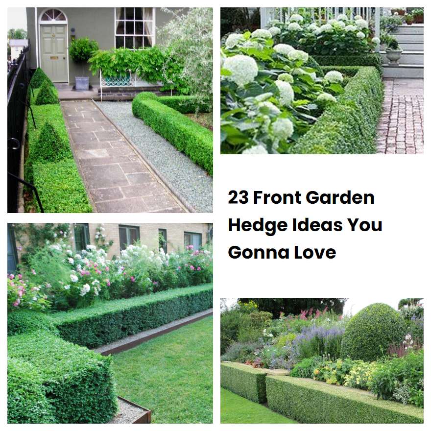 Front Garden Hedge Ideas Uk