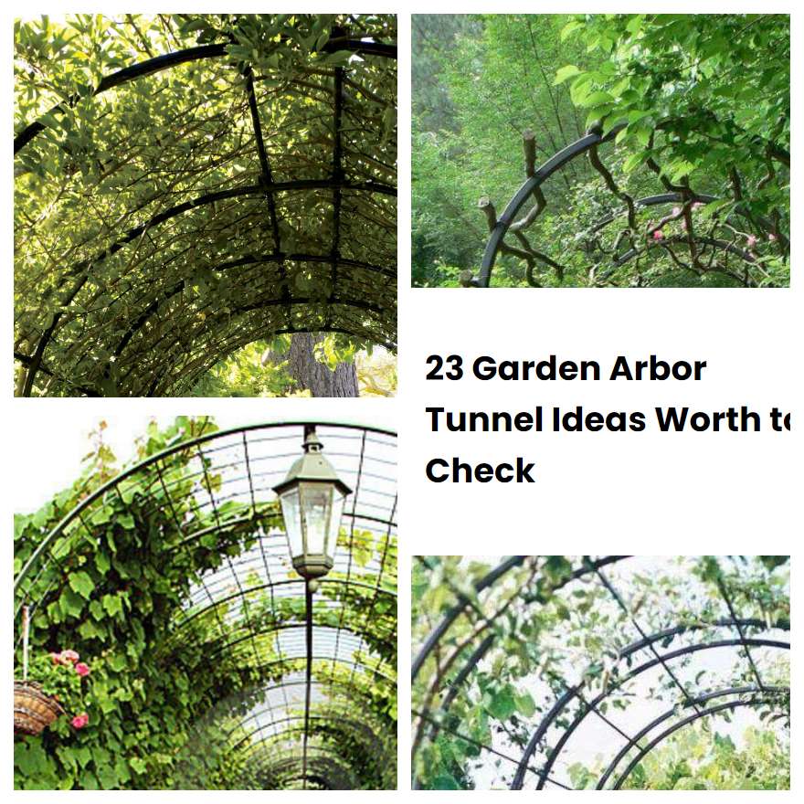 23 Garden Arbor Tunnel Ideas Worth to Check | SharonSable