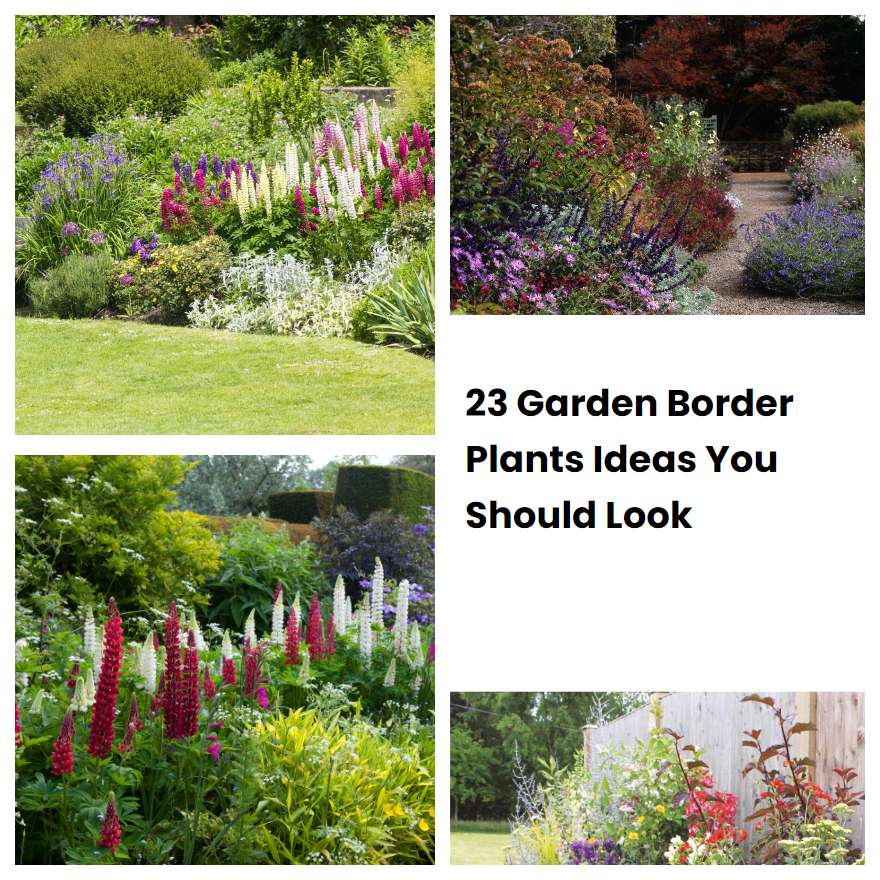 23 Garden Border Plants Ideas You Should Look | SharonSable