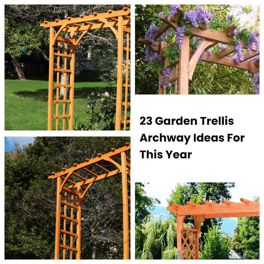 23 Garden Trellis Archway Ideas For This Year | SharonSable