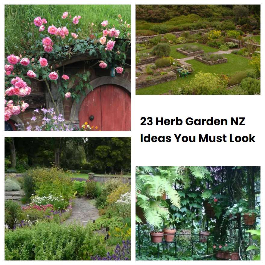 Medicinal Herb Garden Nz