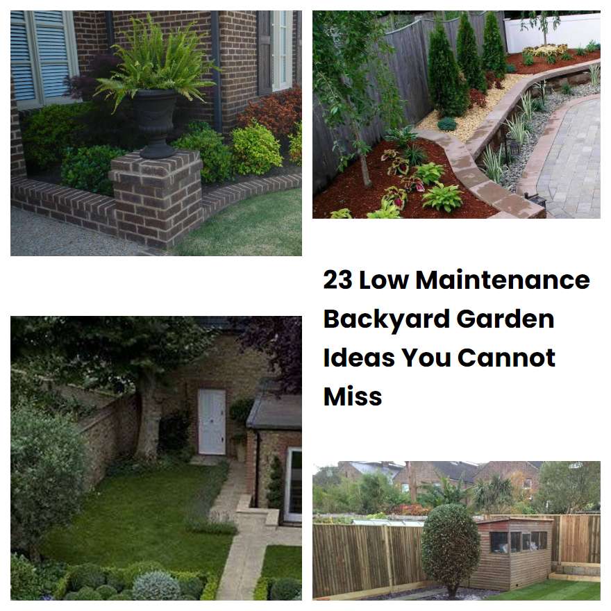 23 Low Maintenance Backyard Garden Ideas You Cannot Miss | SharonSable