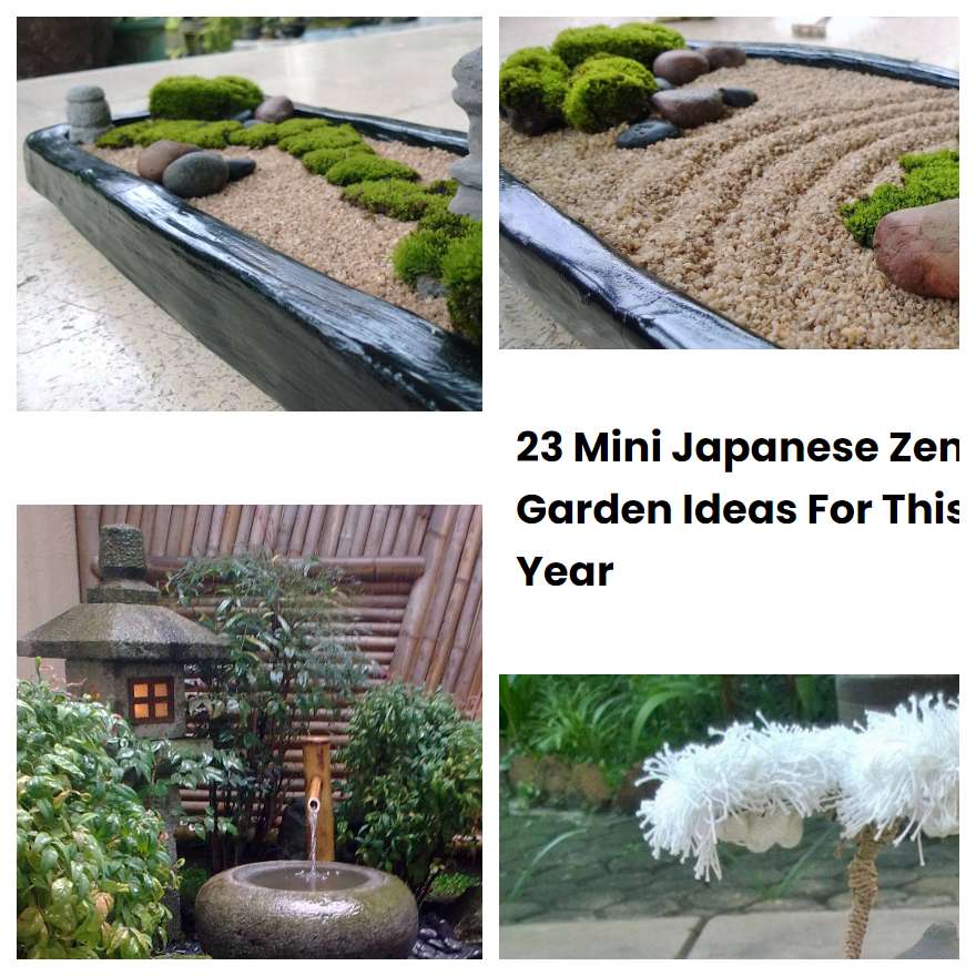 23 Mini Japanese Zen Garden Ideas For This Year | SharonSable