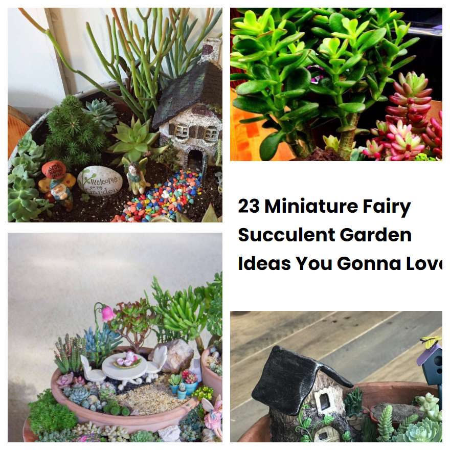 23 Miniature Fairy Succulent Garden Ideas You Gonna Love Sharonsable