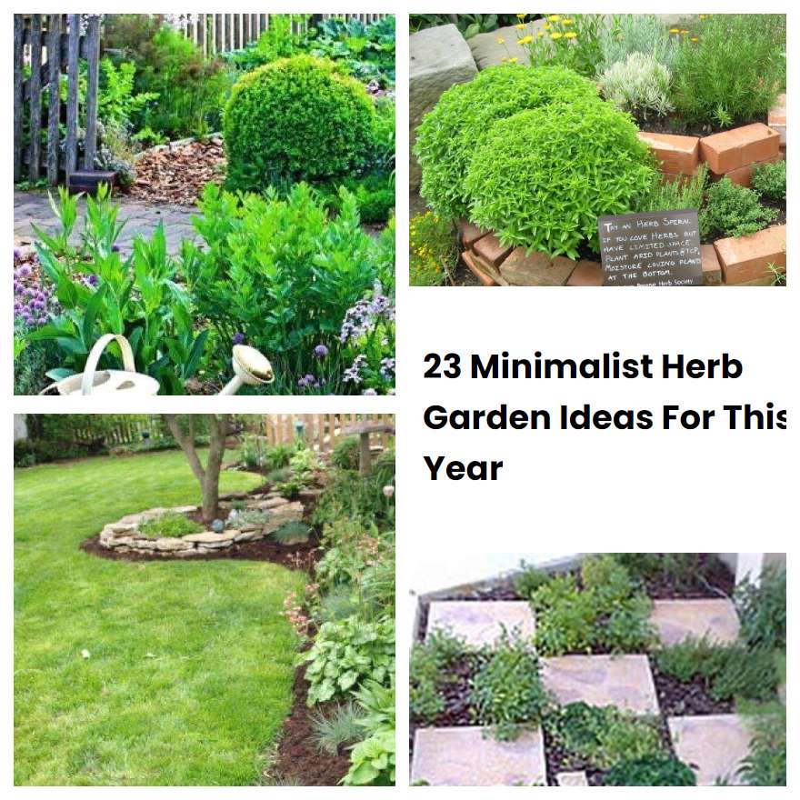 23 Minimalist Herb Garden Ideas For This Year | SharonSable