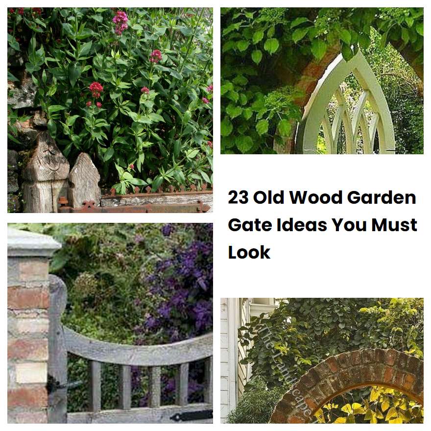 23 Old Wood Garden Gate Ideas You Must Look