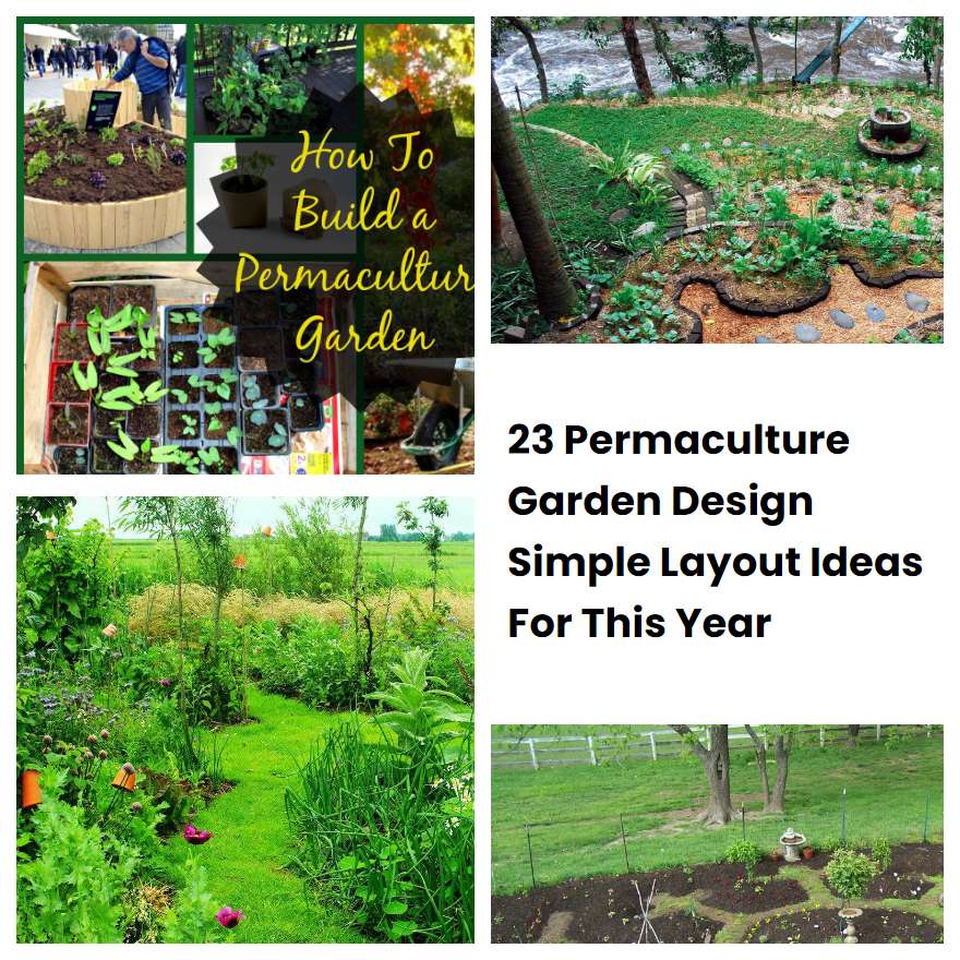 23 Permaculture Garden Design Simple Layout Ideas For This Year ...