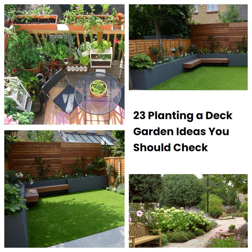 23 Planting A Deck Garden Ideas You Should Check Sharonsable 9440