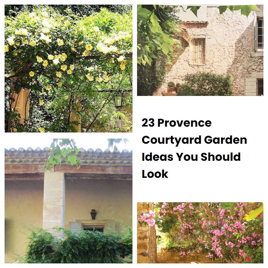 23 Provence Courtyard Garden Ideas You Should Look Sharonsable