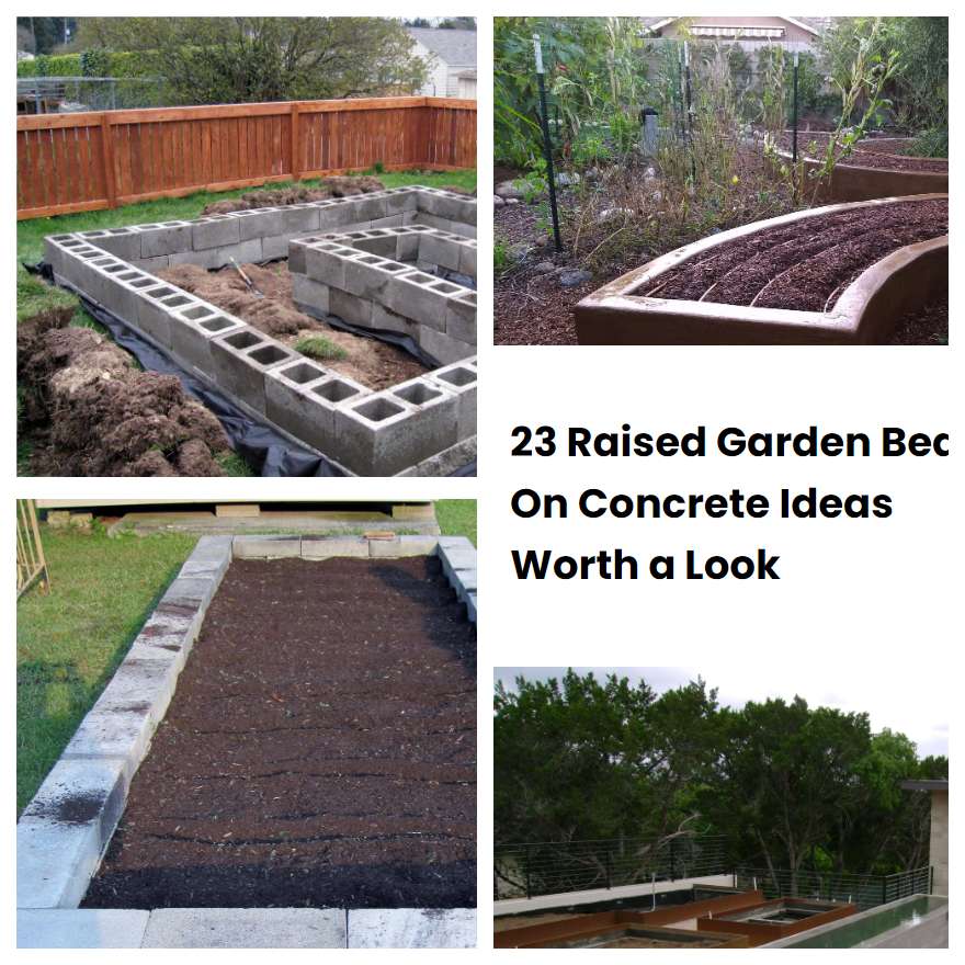 23 Raised Garden Bed On Concrete Ideas Worth a Look | SharonSable