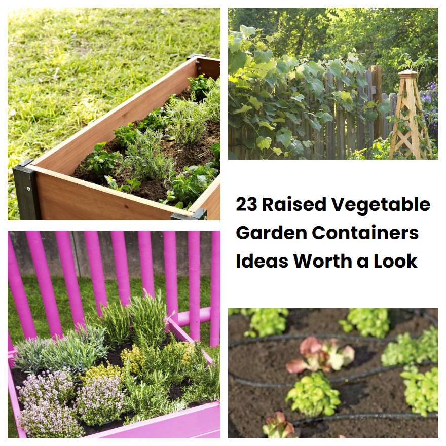 23 Raised Vegetable Garden Containers Ideas Worth a Look | SharonSable