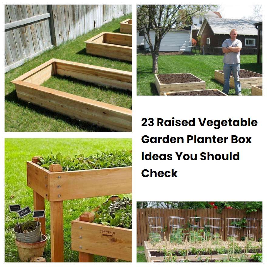 23 Raised Vegetable Garden Planter Box Ideas You Should Check | SharonSable