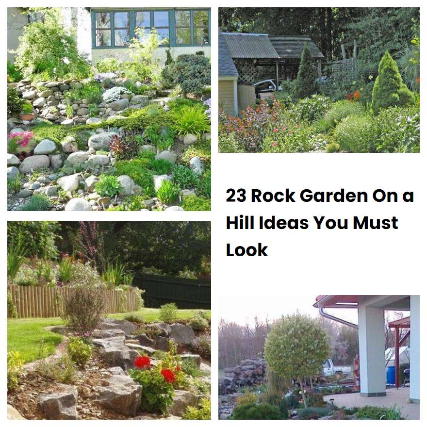 23 Rock Garden On a Hill Ideas You Must Look