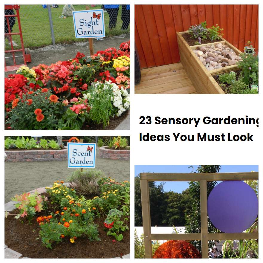 23 Sensory Gardening Ideas You Must Look Sharonsable