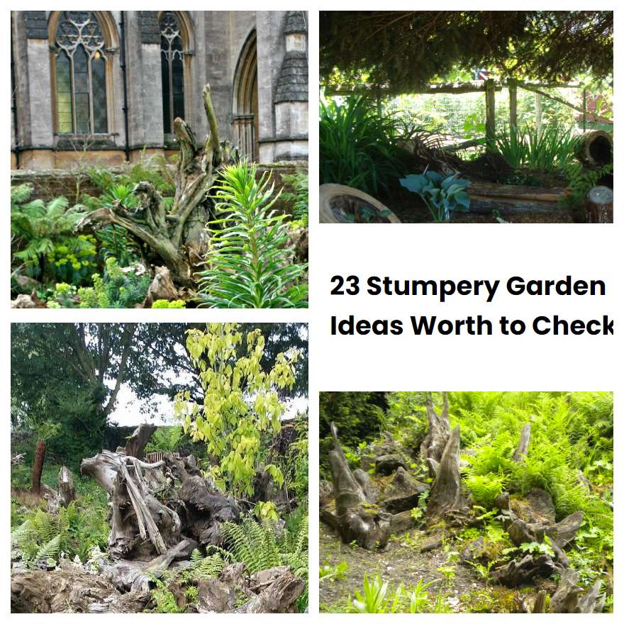 23 Stumpery Garden Ideas Worth to Check | SharonSable