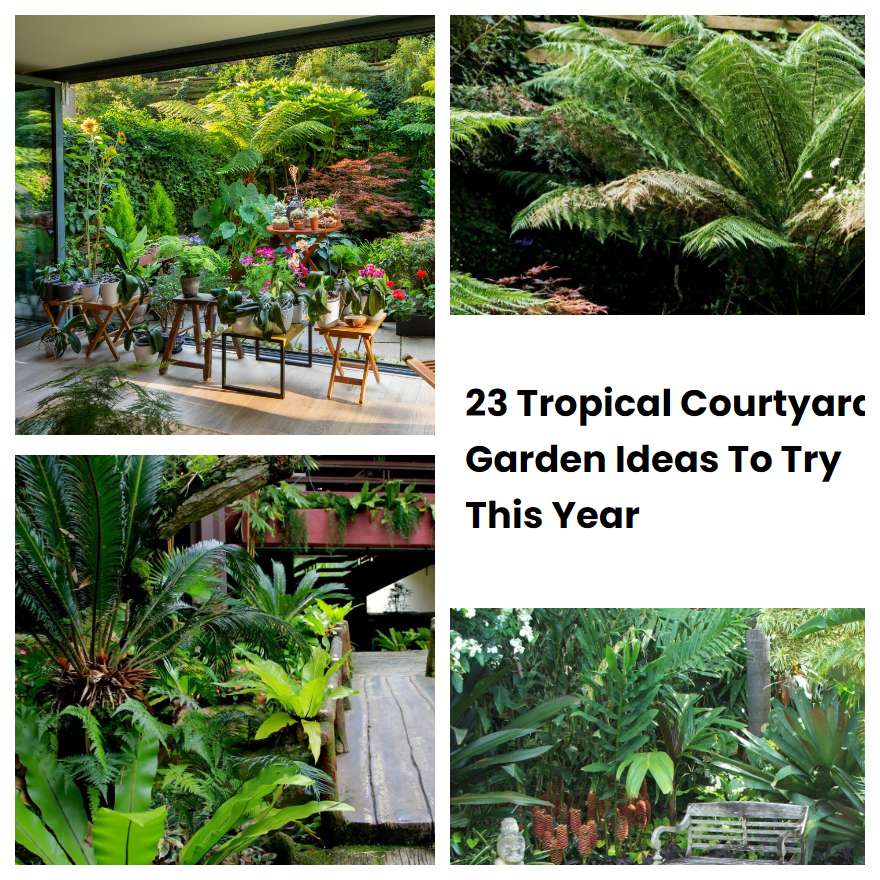 23 Tropical Courtyard Garden Ideas To Try This Year | SharonSable