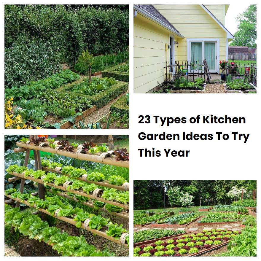 23 Types of Kitchen Garden Ideas To Try This Year SharonSable