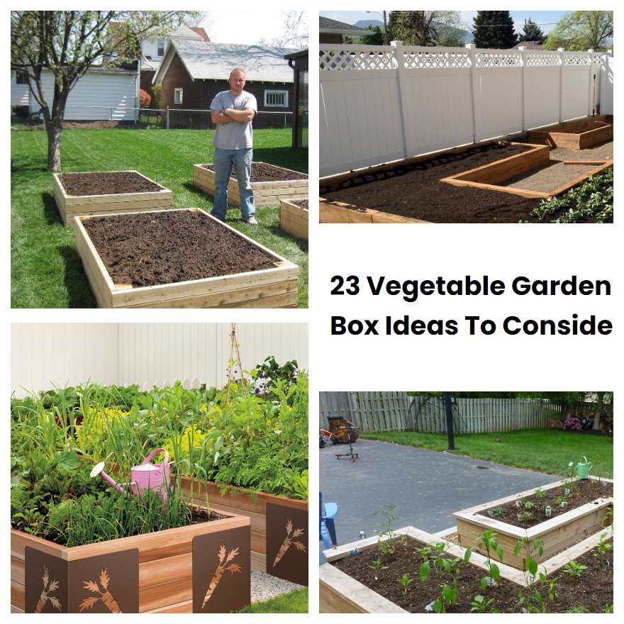 23 Vegetable Garden Box Ideas To Consider | SharonSable