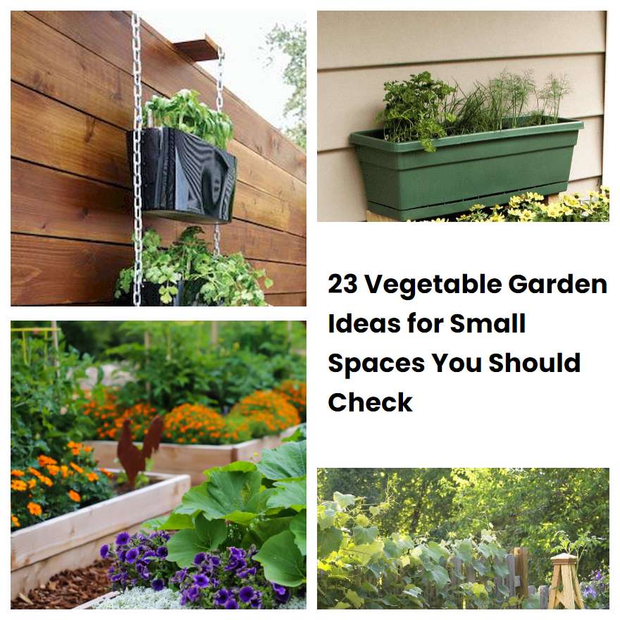 23 Vegetable Garden Ideas for Small Spaces You Should Check | SharonSable