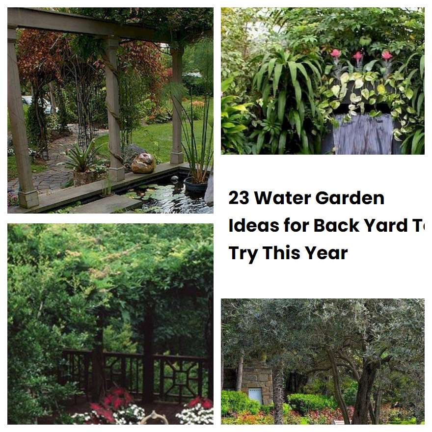 23 Water Garden Ideas for Back Yard To Try This Year | SharonSable