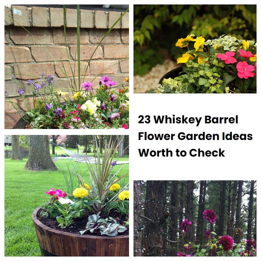 23 Whiskey Barrel Flower Garden Ideas Worth to Check | SharonSable